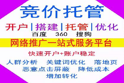 百度竞价代理实战技巧：经典案例深度解读